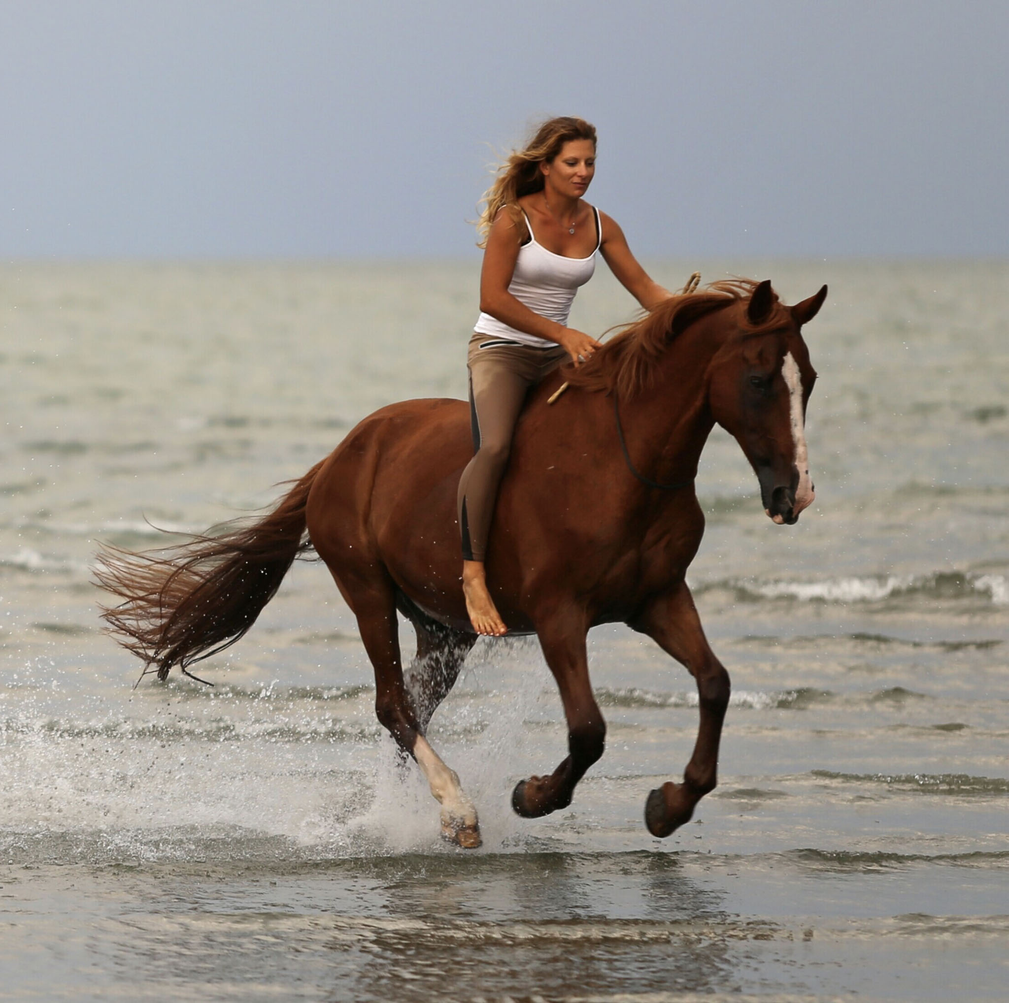 EQUITAZIONE